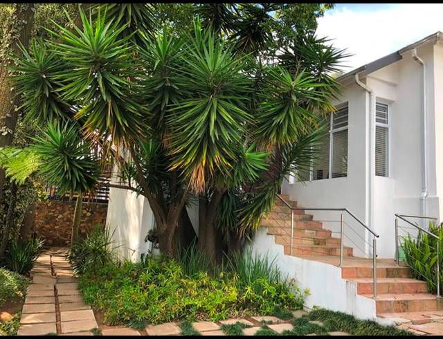 3 BEDROOM HOUSE FOR SALE IN KENSINGTON
